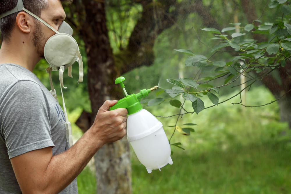 Anvisa divulga lista dos alimentos mais contaminados por agrotóxicos